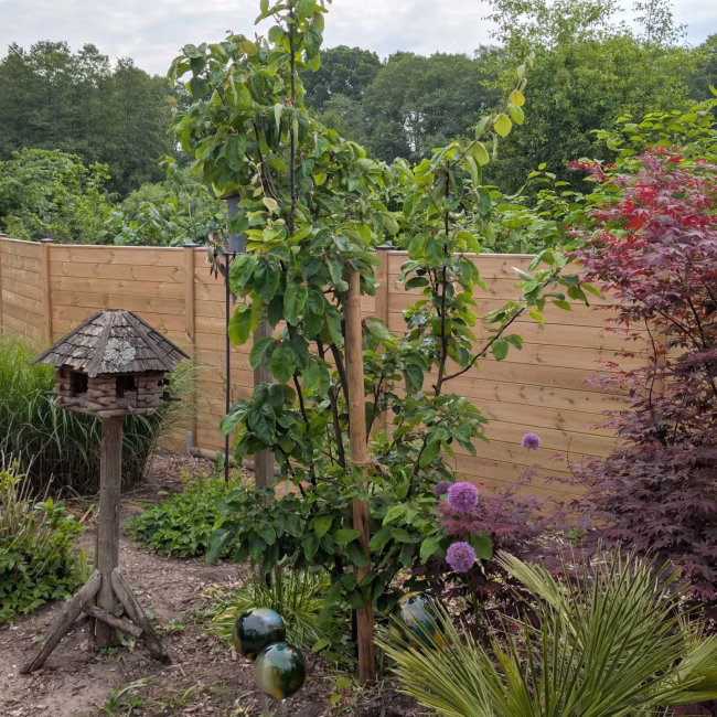 Google Rezension: Weitläufiger Zaun aus Thermoholz in einem großen Garten mit Vogelhaus, Bäumen und gepflegter Landschaftsgestaltung.